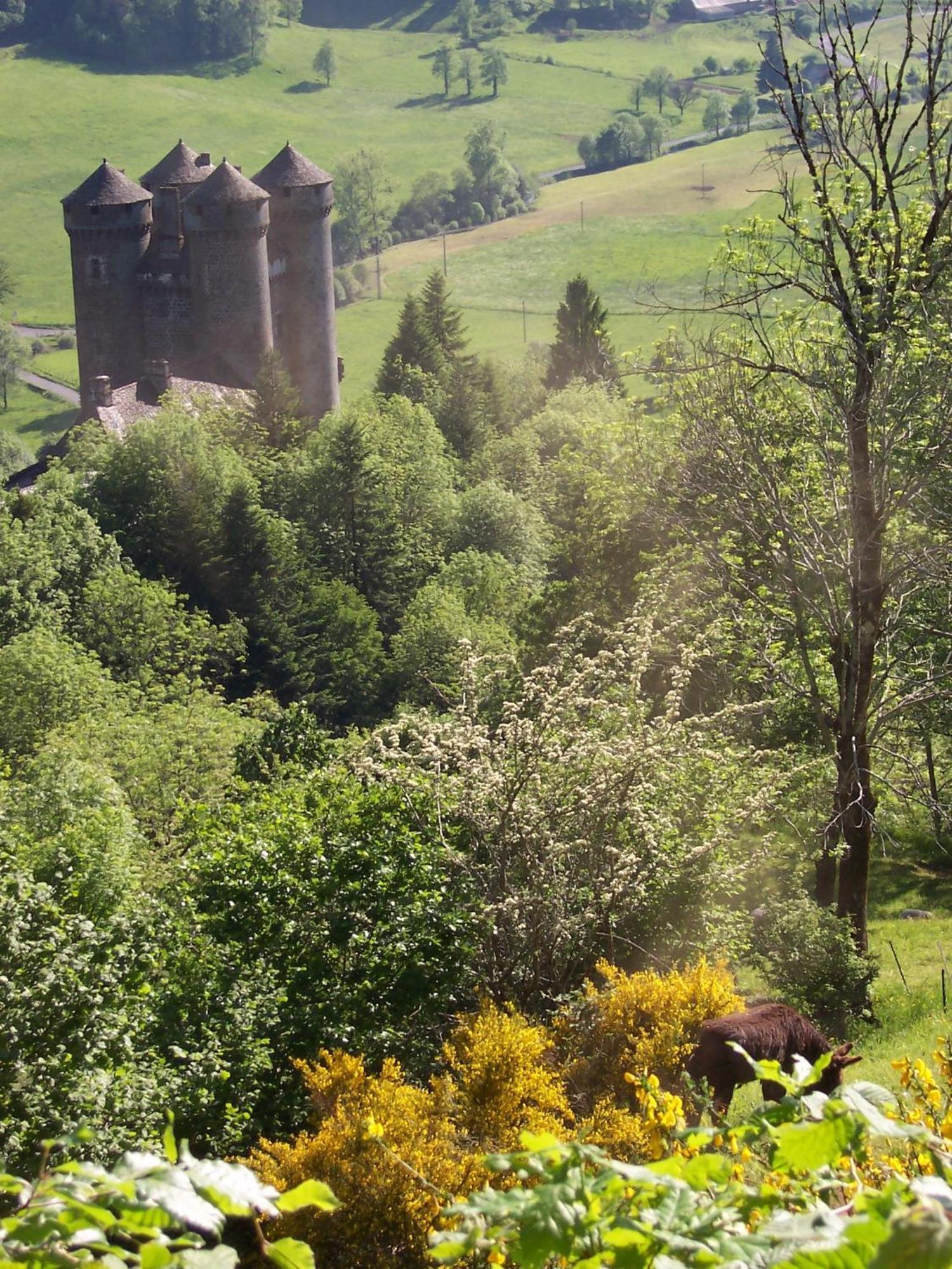 Auberge Hotel De Tournemire - Cantal ภายนอก รูปภาพ